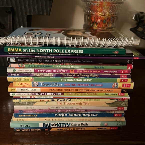 20 Elementary school level books - Picture 1 of 6